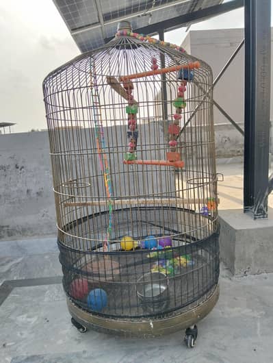 cage big