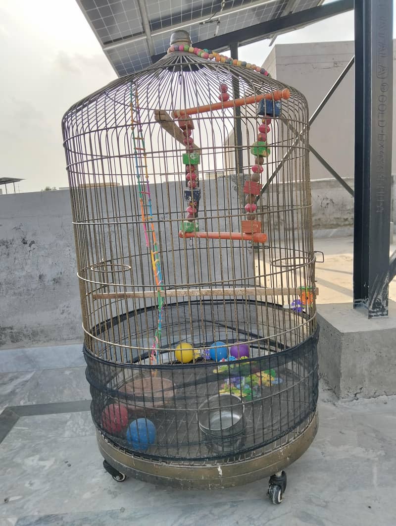cage big 0