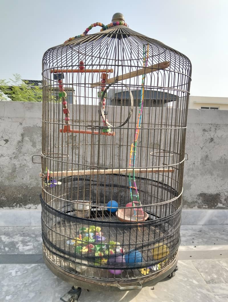 cage big 1