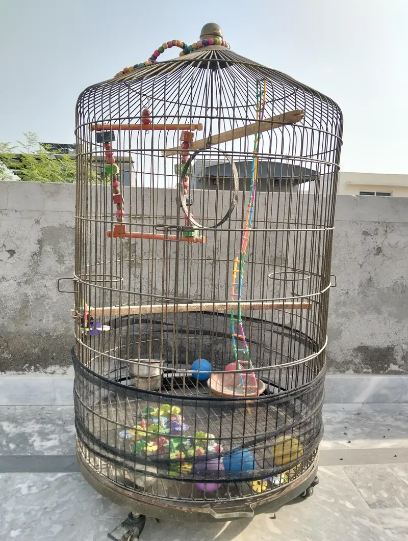cage big — photo 2