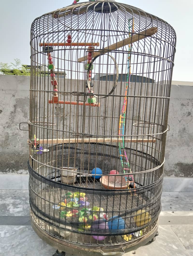 cage big 2