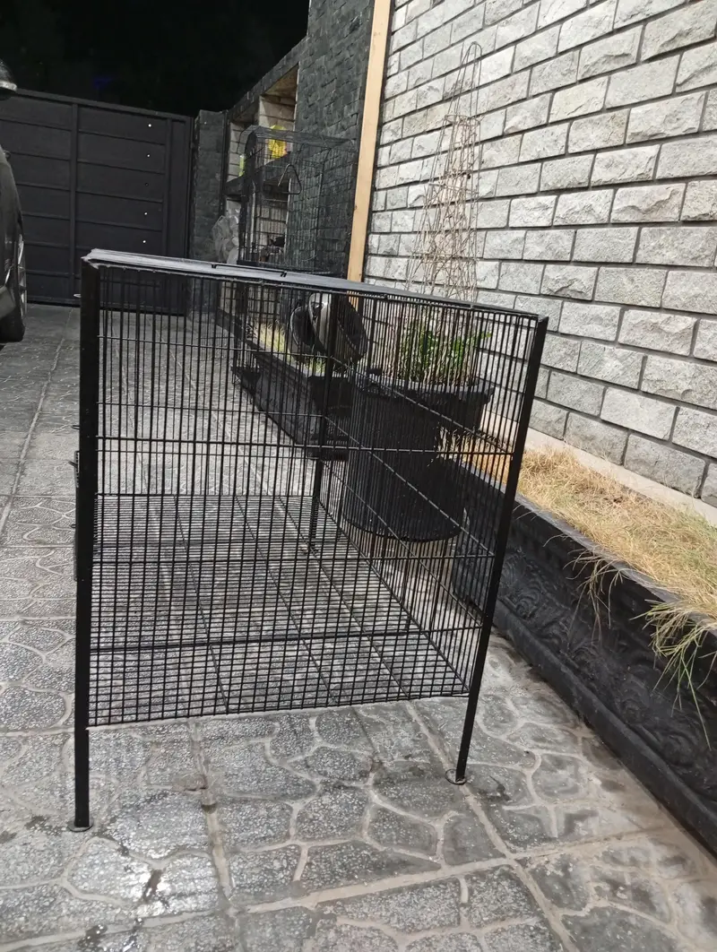 3 used cages for sale — photo 7