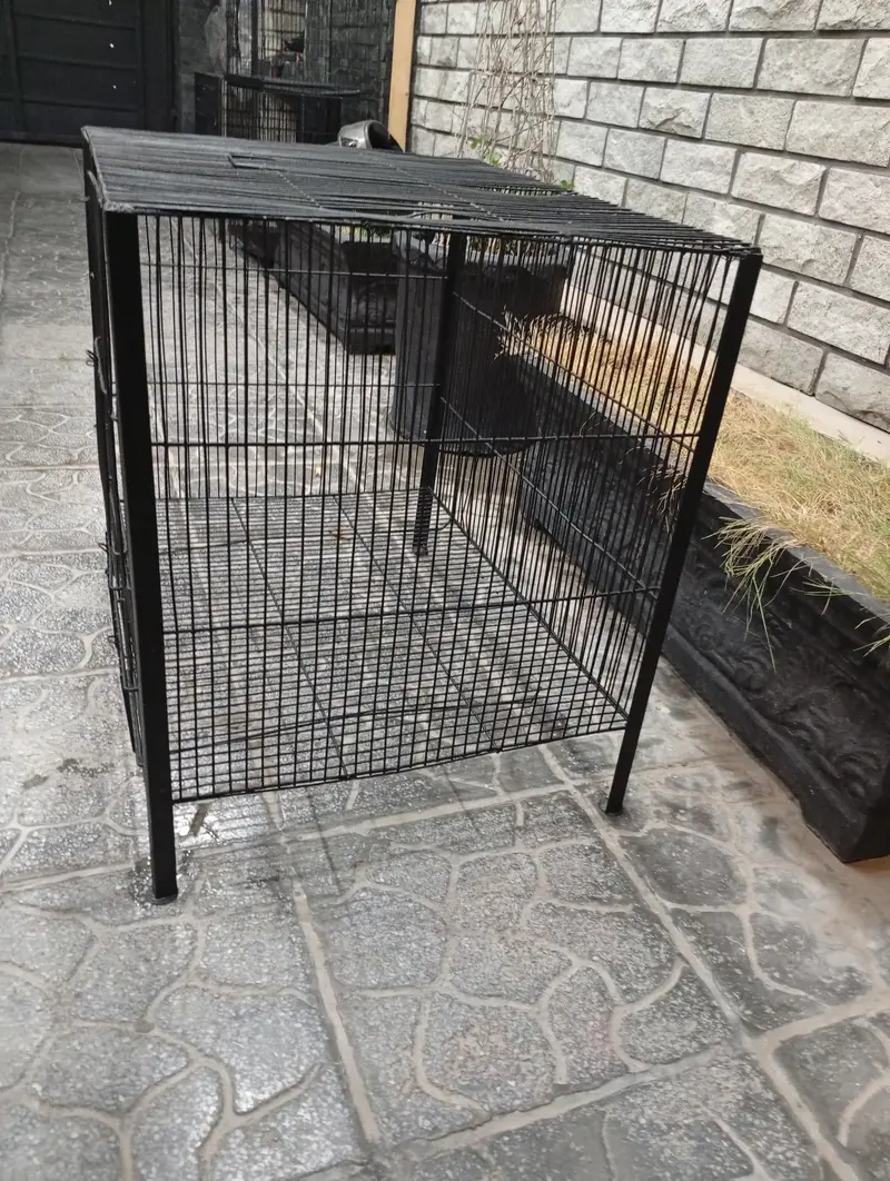 3 used cages for sale — photo 10