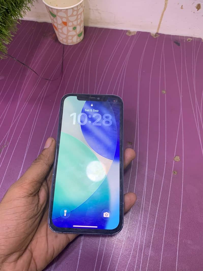 Apple iPhone 12 1