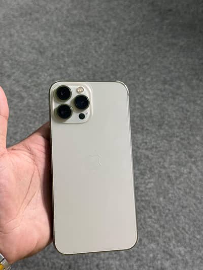 Apple iPhone 13 Pro Max