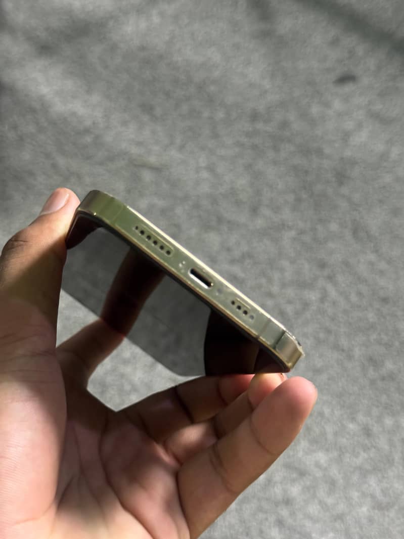 Apple iPhone 13 Pro Max 1