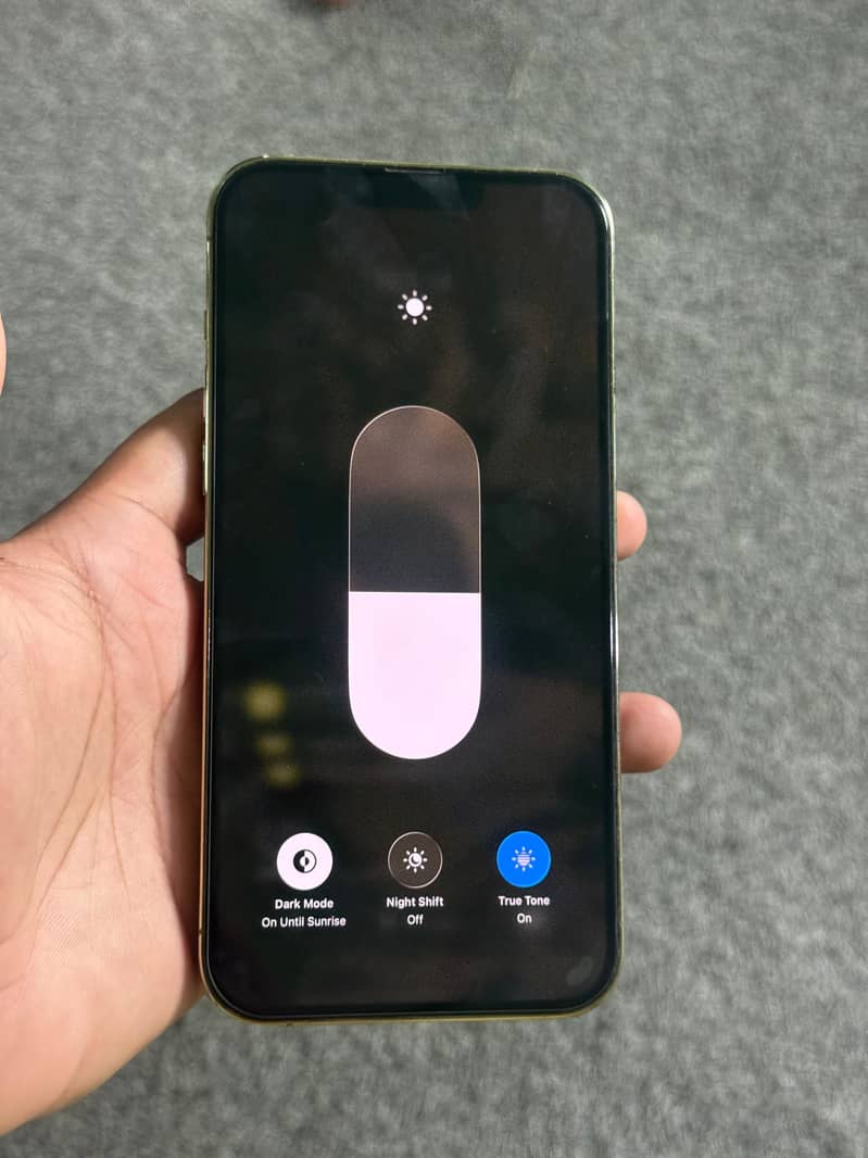 Apple iPhone 13 Pro Max 2