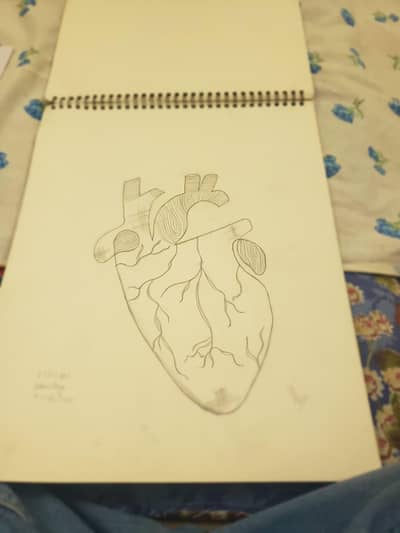 Sketch