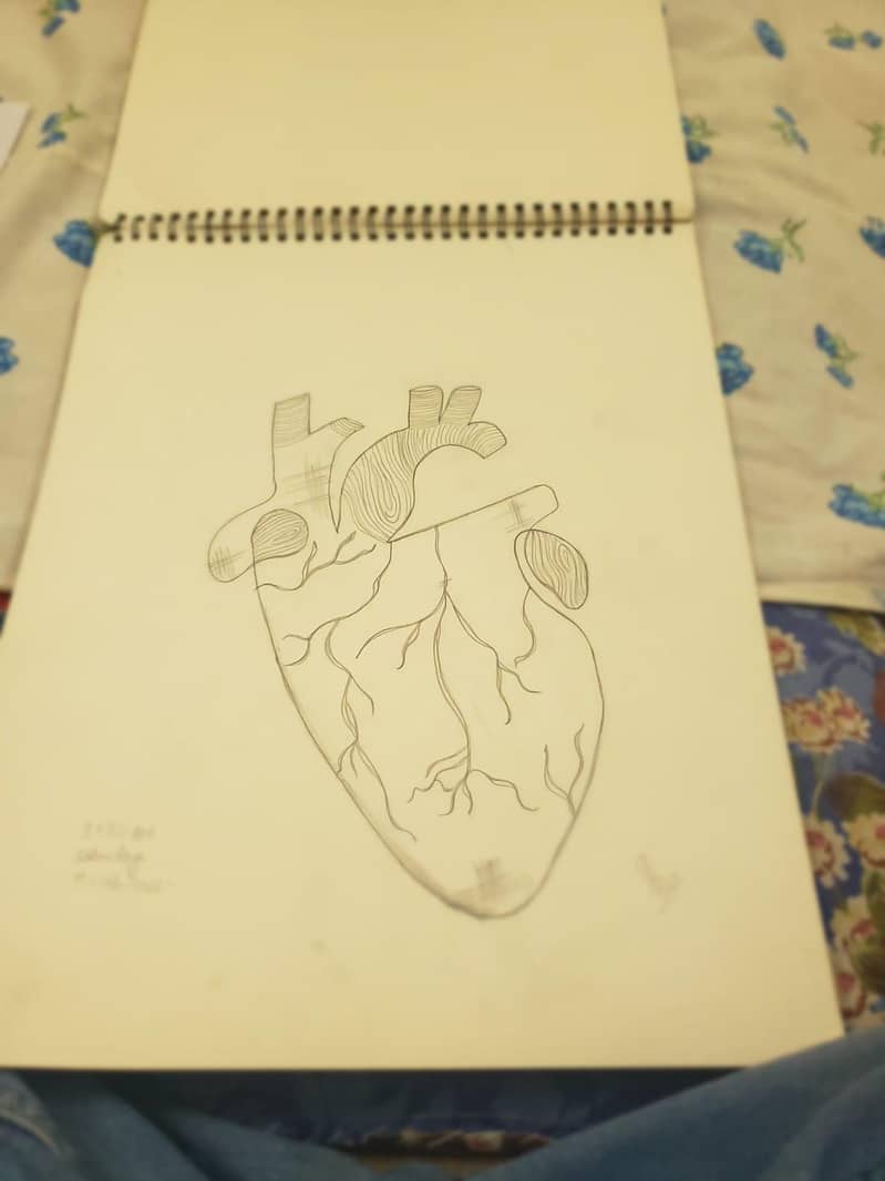 Sketch 9