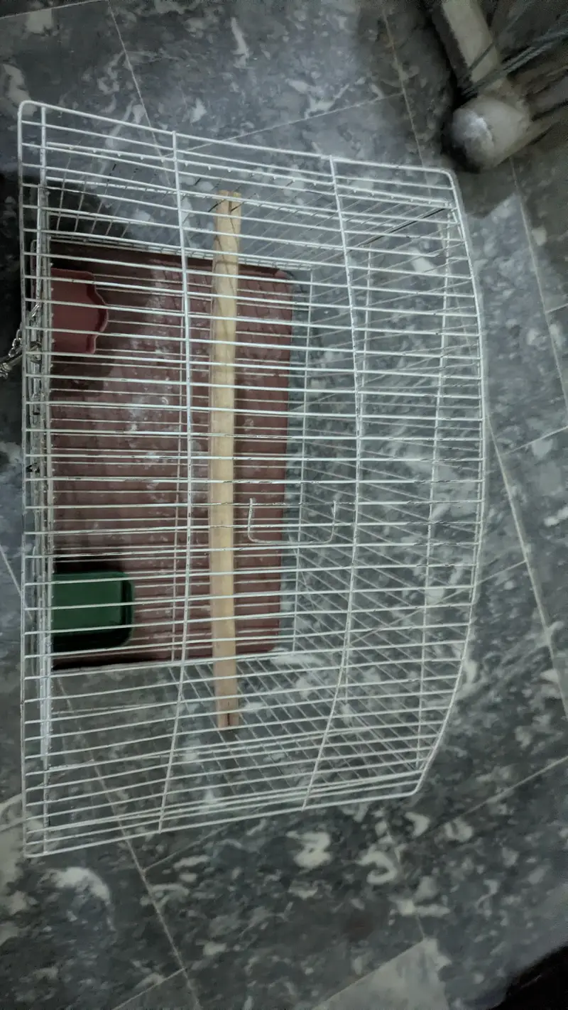 cage for sale ,best for single cocktail parrot, conure or love birds — photo 3