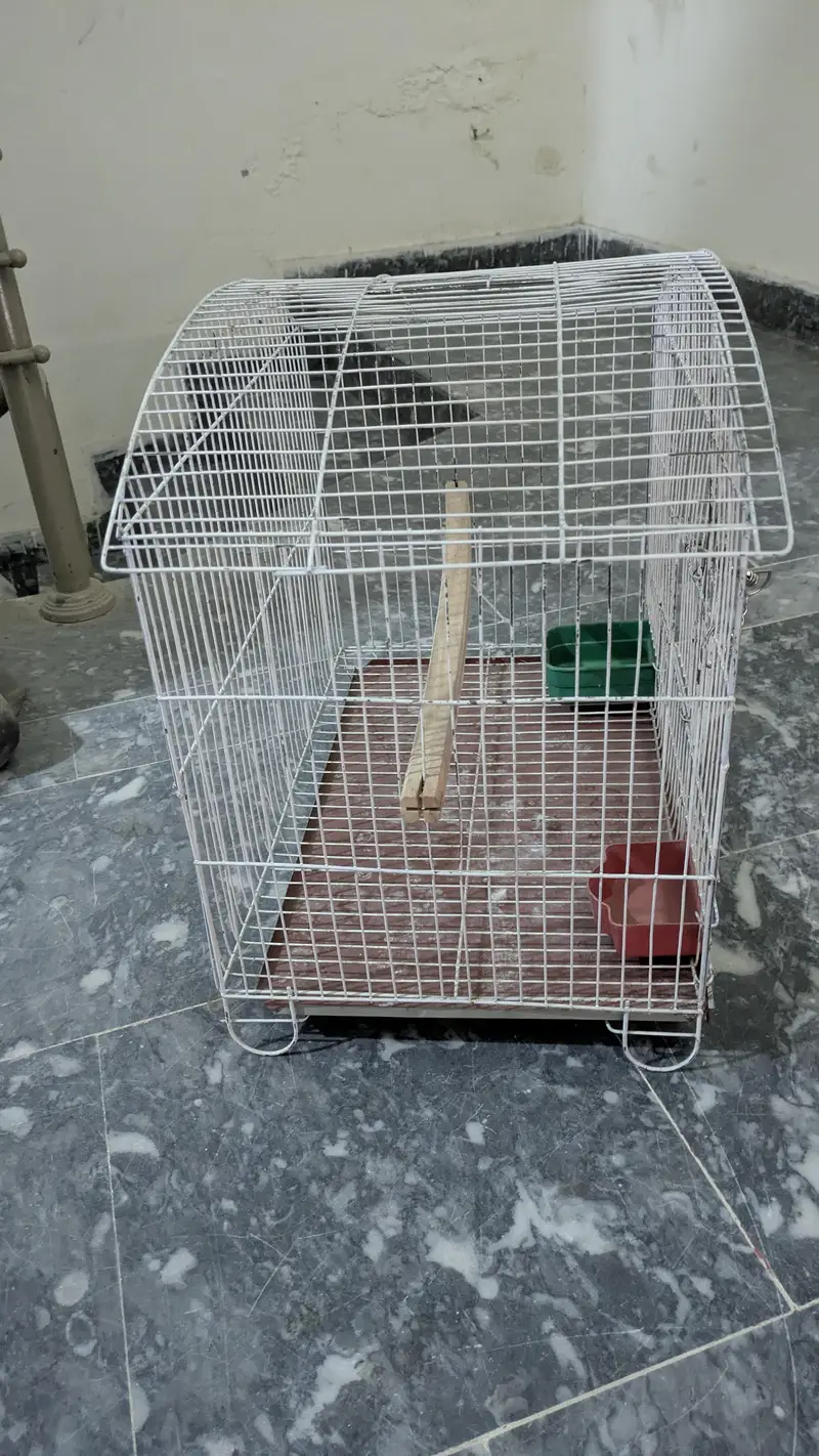 cage for sale ,best for single cocktail parrot, conure or love birds — photo 4