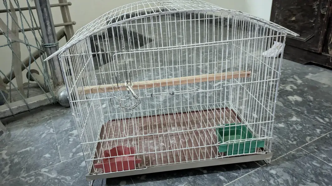 cage for sale ,best for single cocktail parrot, conure or love birds — photo 5