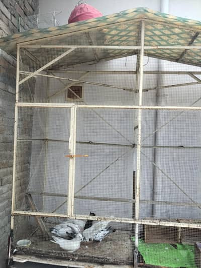 very nice parrots cage