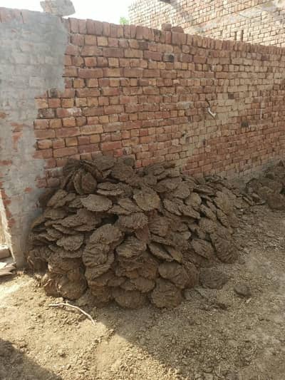 10 pcs natural cow and buffalo dung cake _ dried dung