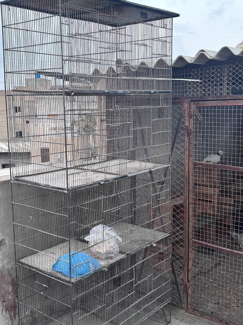 5 cages 0