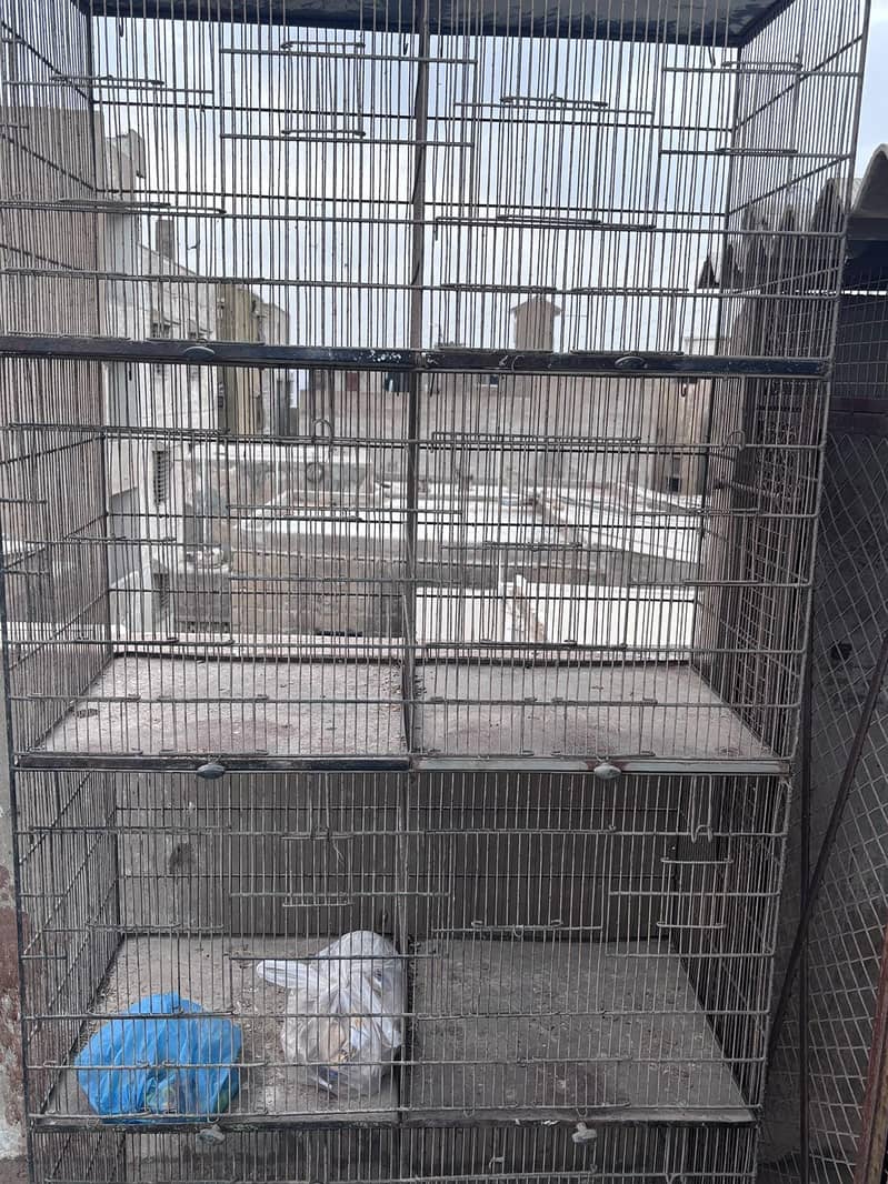 5 cages 1