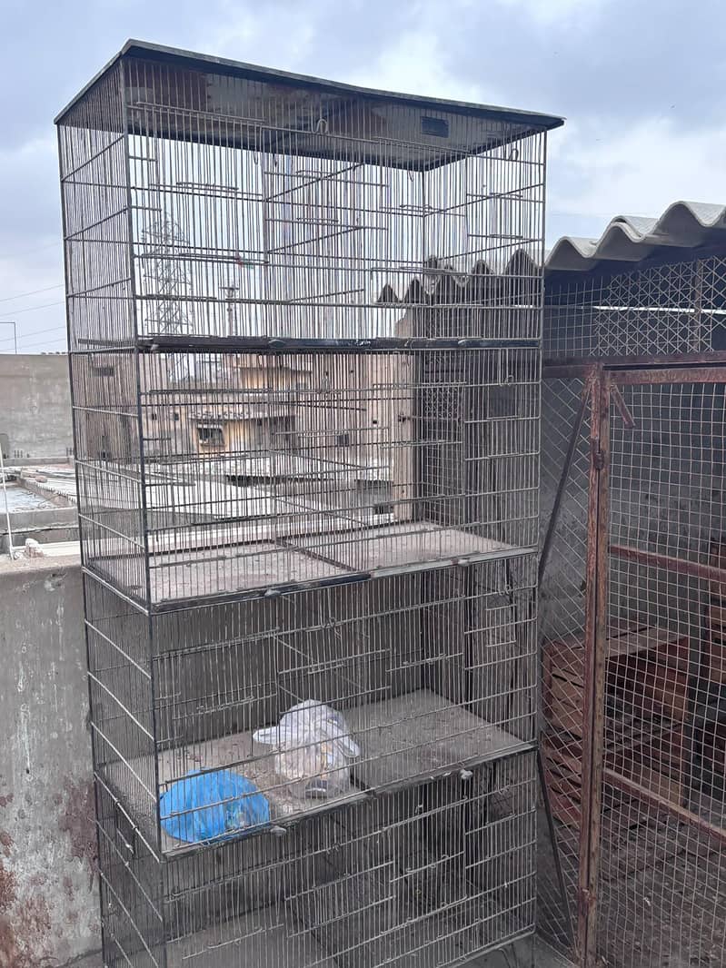 5 cages 2