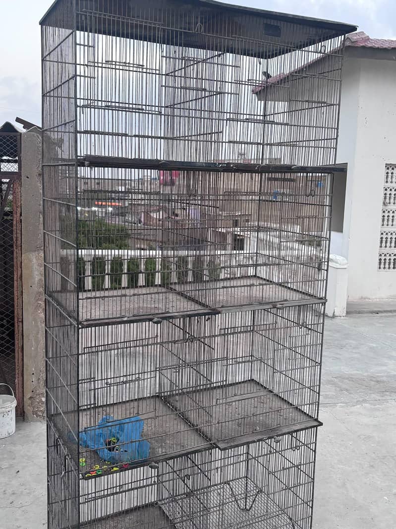 5 cages 3