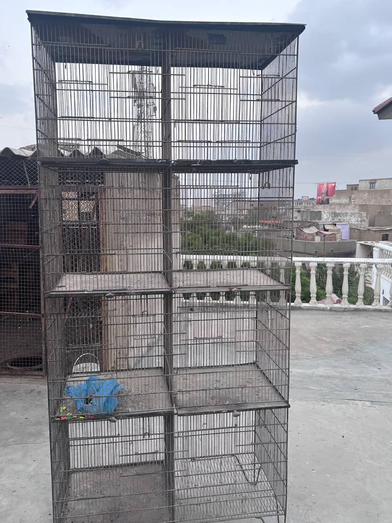 5 cages 4