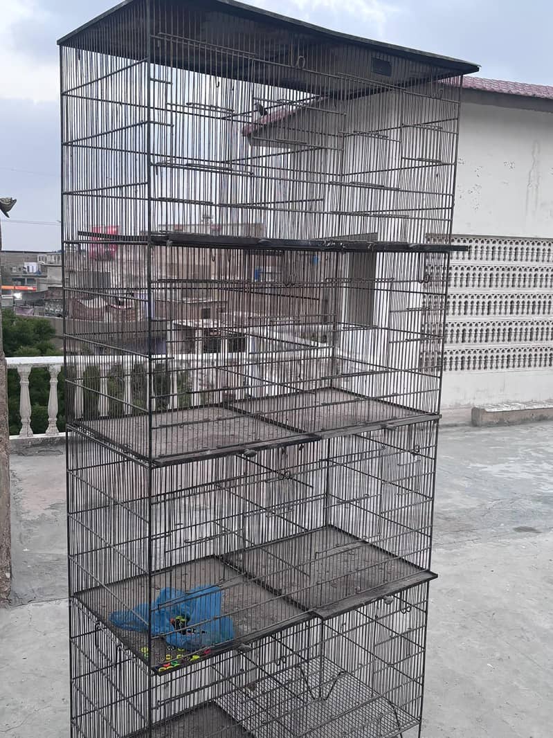 5 cages 5