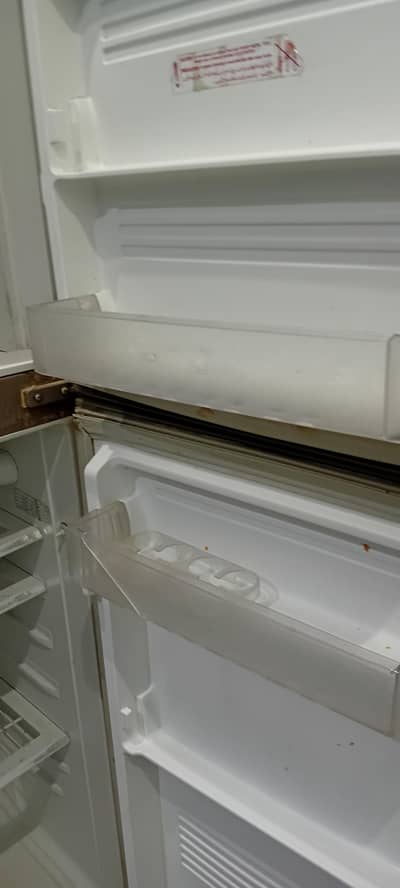 pel fridge for sale