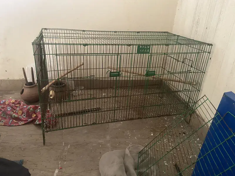 Java diamond dove cage boxes samundri jaagh — photo 9