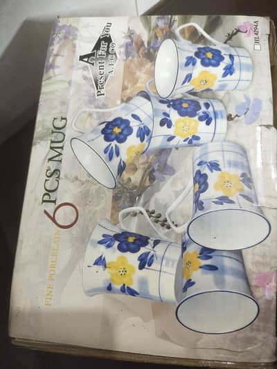 proceline cup set 6 piece