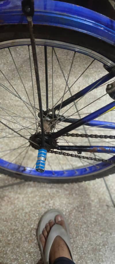 Turgut axe racing bycycle