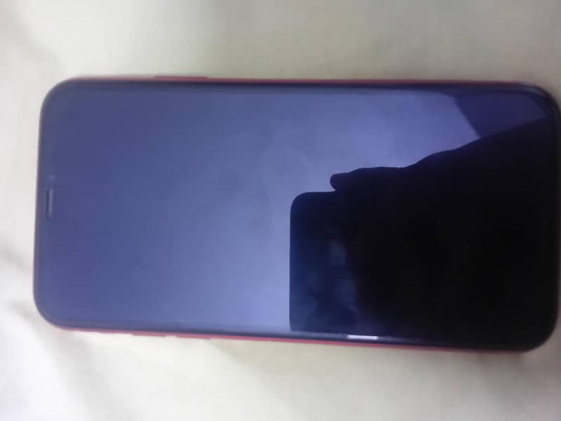 Apple iPhone 11 1
