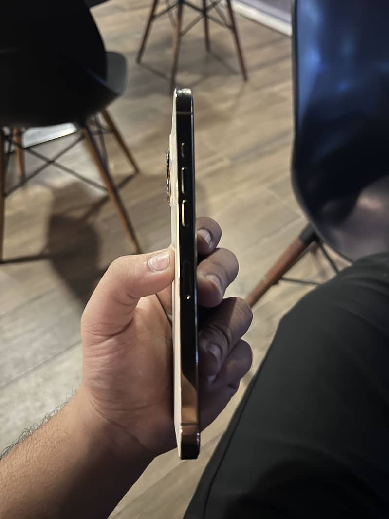 Apple iPhone 12 Pro Max 0