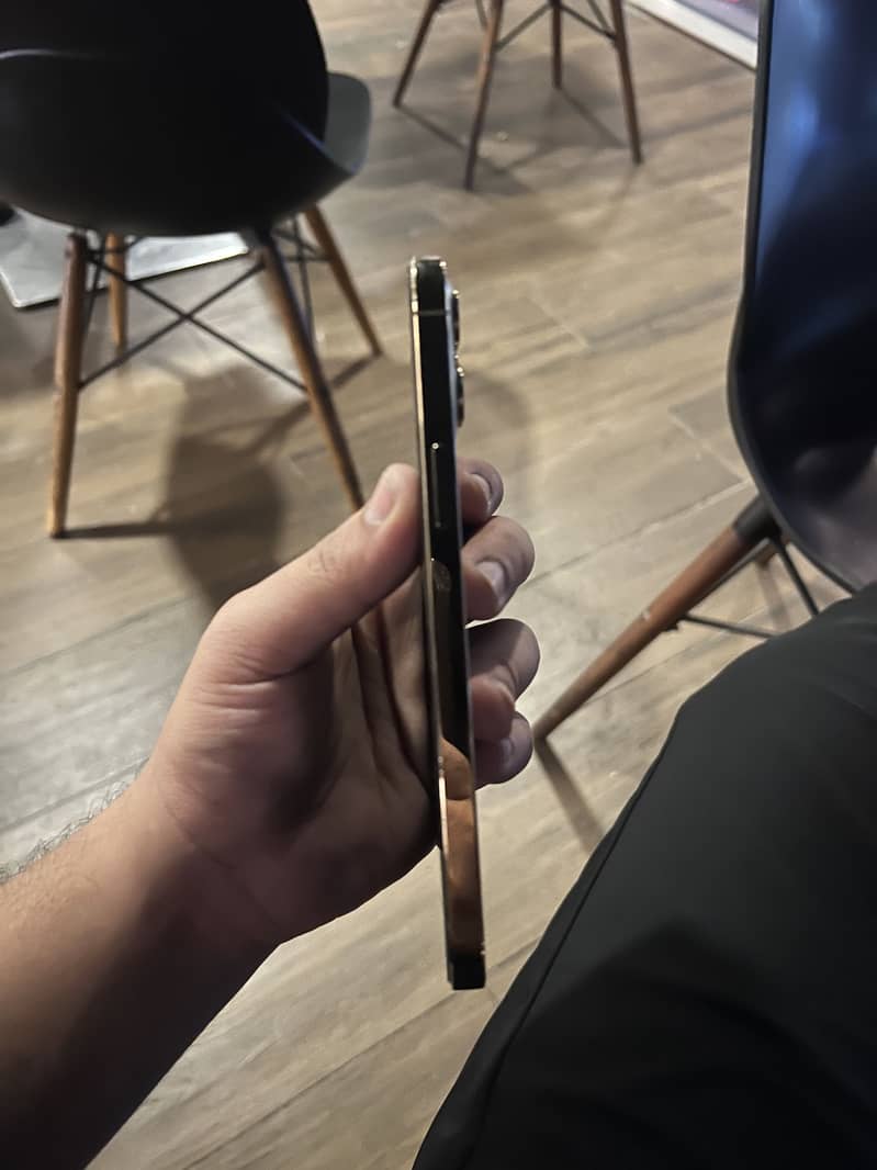 Apple iPhone 12 Pro Max 1