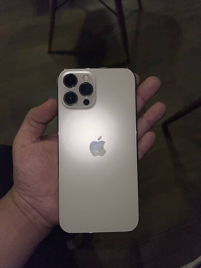 Apple iPhone 12 Pro Max 2