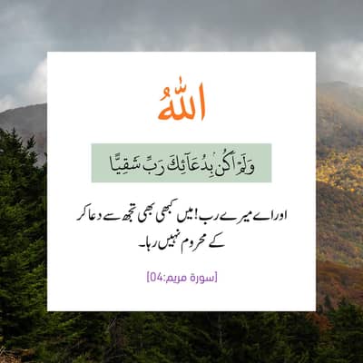 Mian Faisal