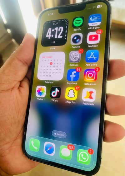 Apple iPhone 13 Pro