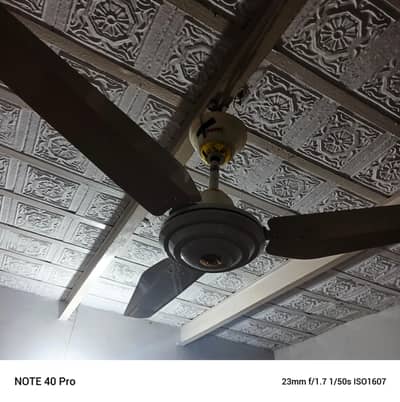 2 AC DC  ROYAL  SAILING FANS