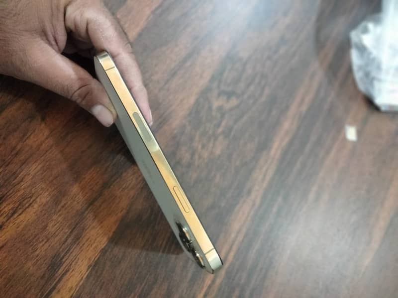 Apple iPhone 13 Pro Max 1