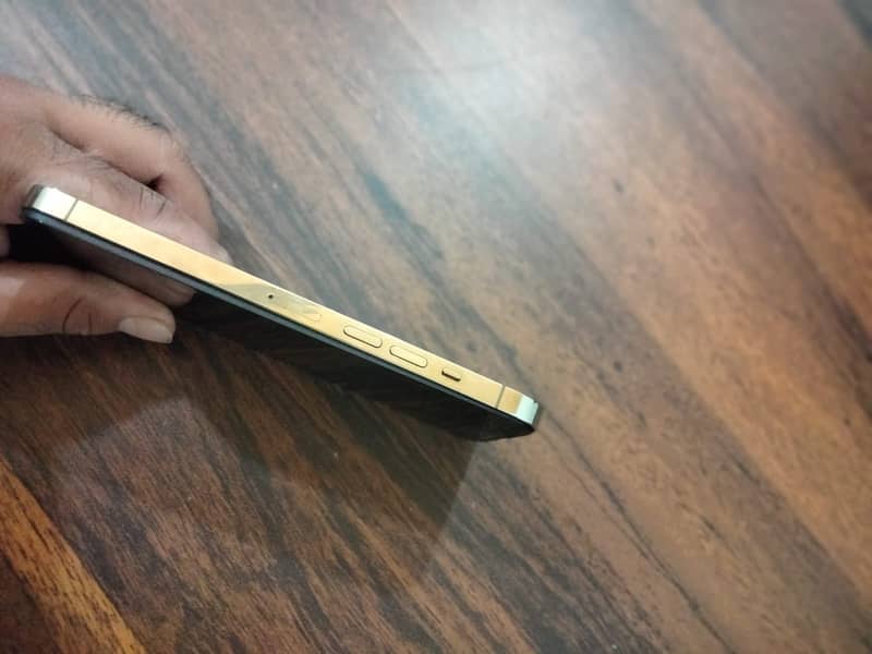 Apple iPhone 13 Pro Max 3