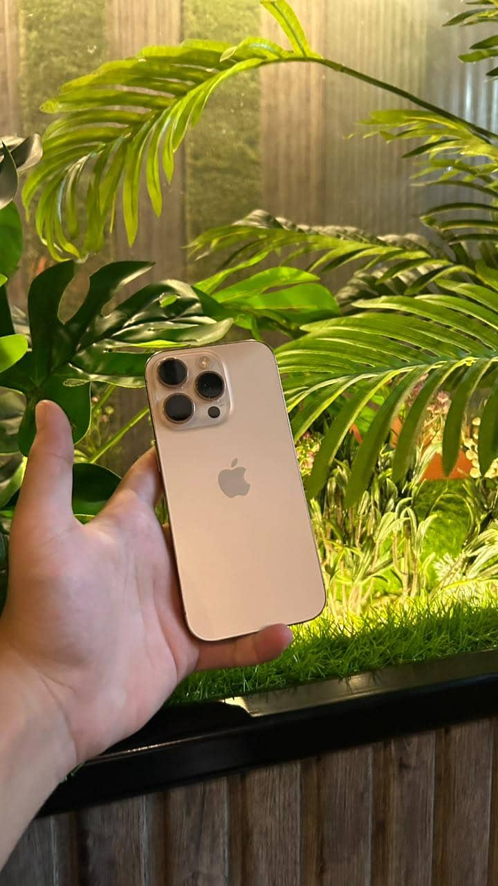 Apple iPhone 16 Pro 1
