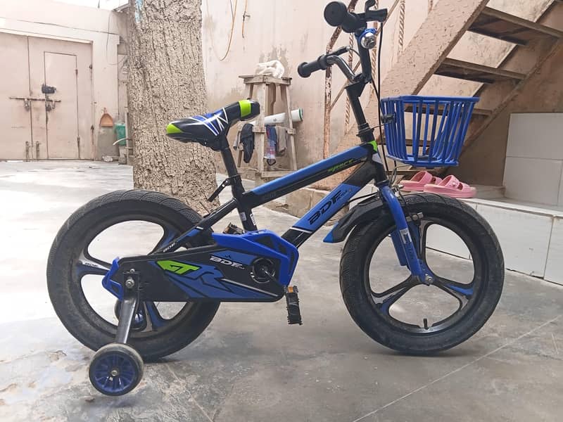 Bicycle 0