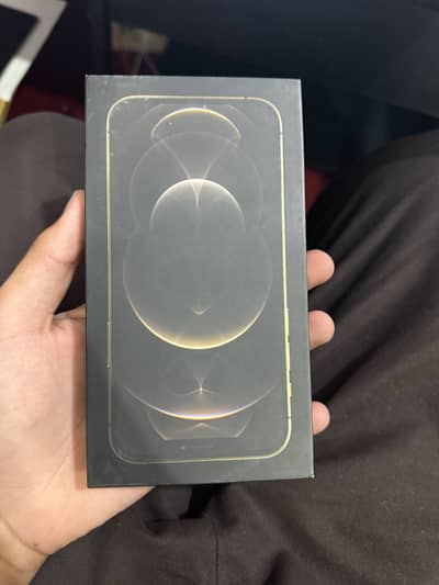 Apple iPhone 12 Pro