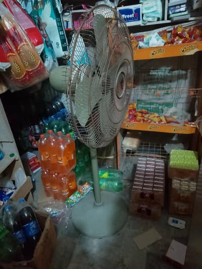 podestel fan pure copper old is gold