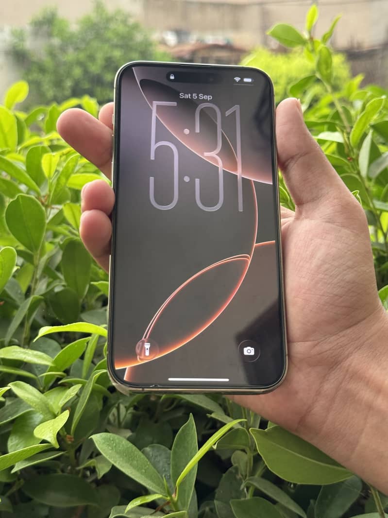 Apple iPhone 14 Pro Max 0