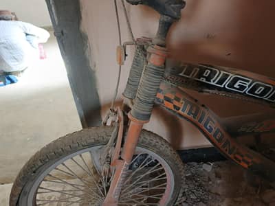bicycle Trigon heavyWeight