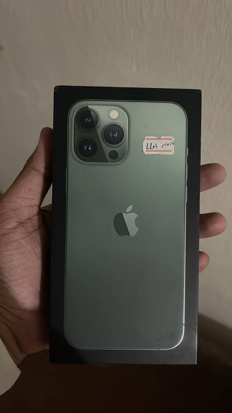 Apple iPhone 13 Pro Max 1