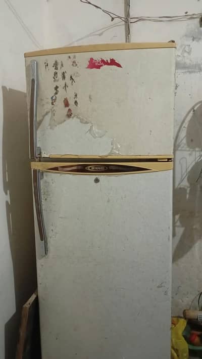 Waves Refrigerator