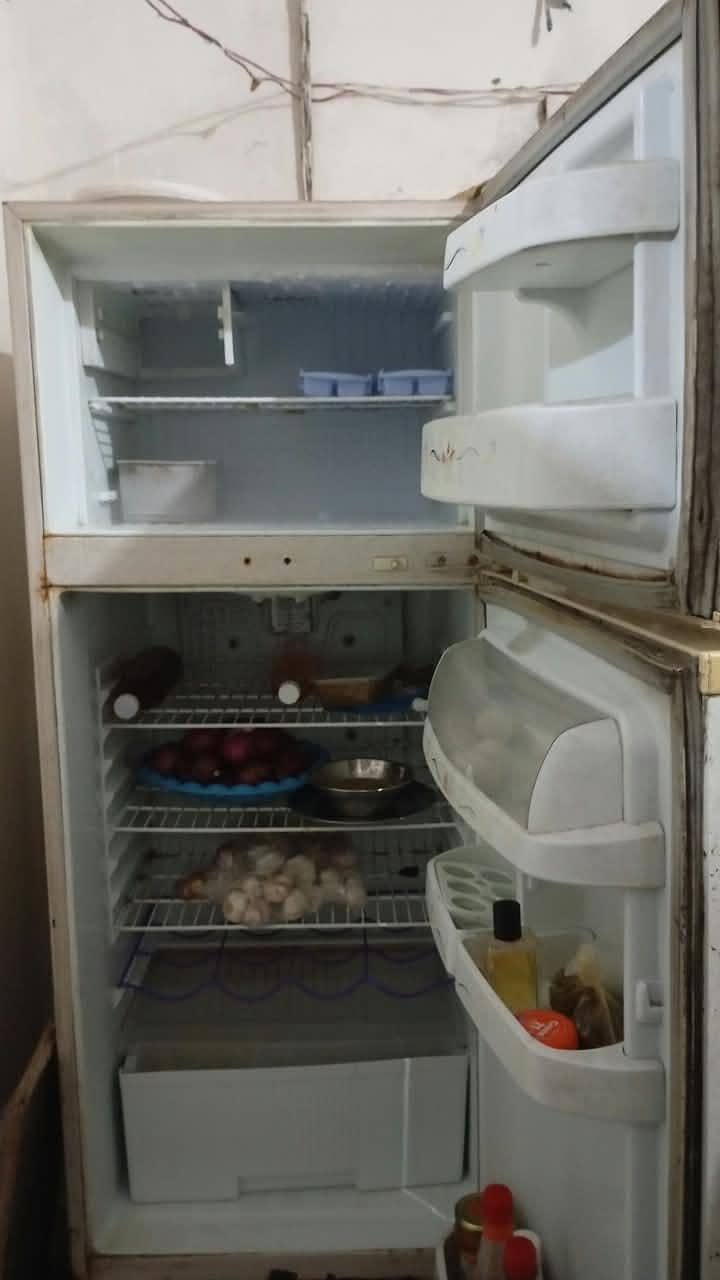 Waves Refrigerator 1