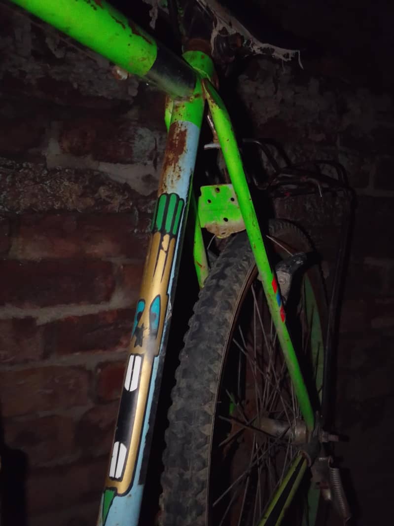 bicycle 2