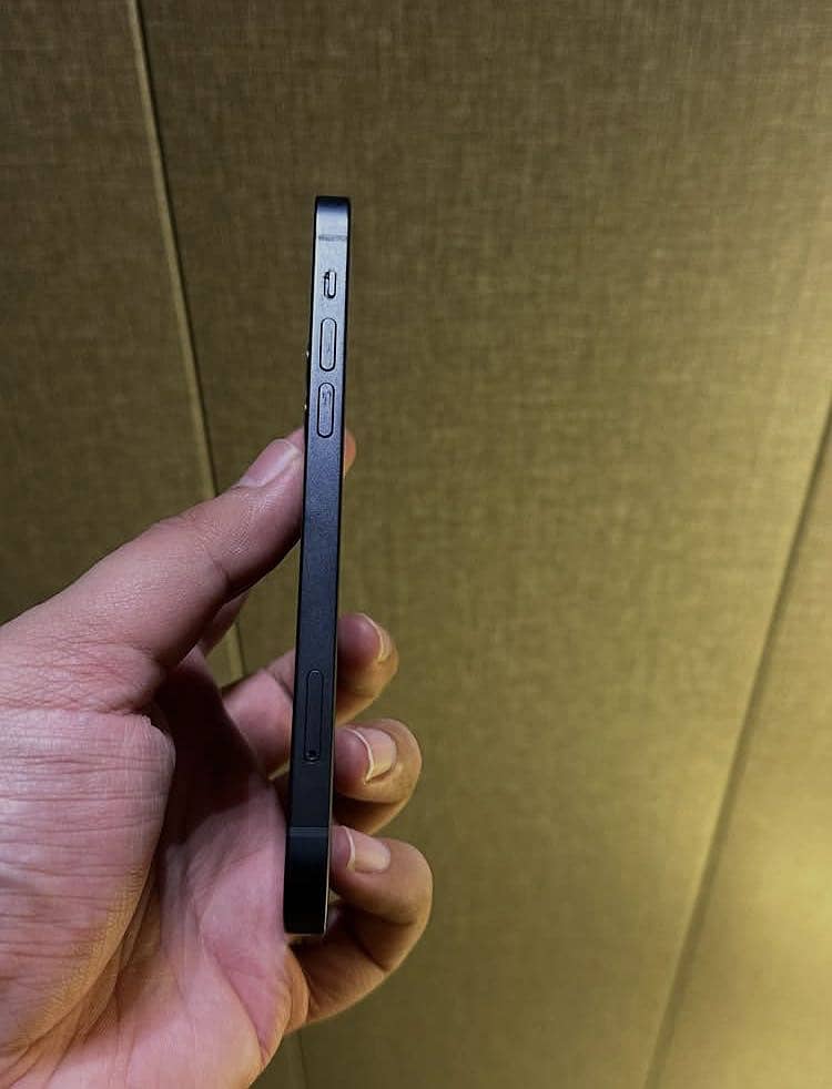 Apple iPhone 12 2