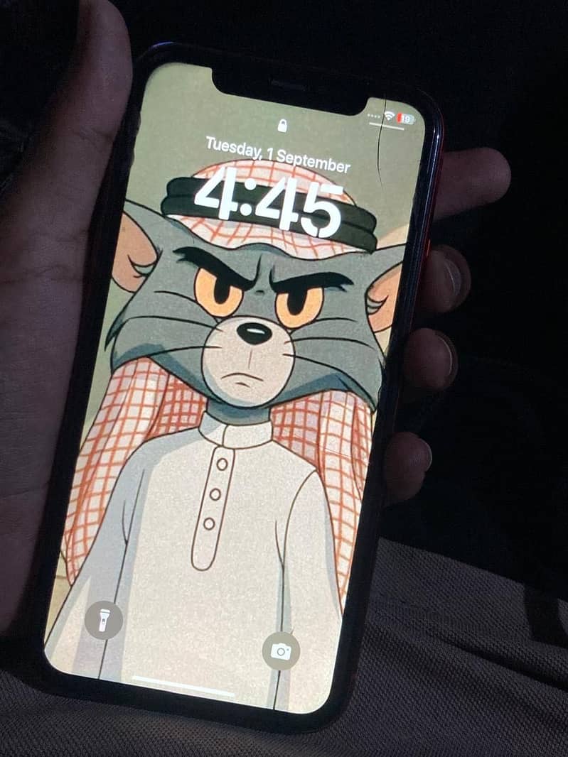 Apple iPhone XR 5