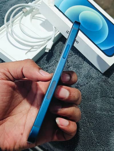 Apple iPhone 12